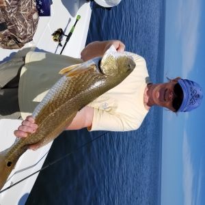 Tides Turn Fishing Charters