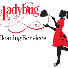 Ladybug Cleaning Co
