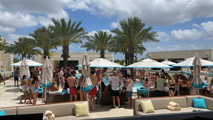 Best Clubs In Miami Beach