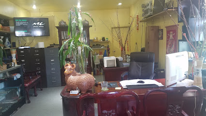 Law Offices of Michael A. Cohen