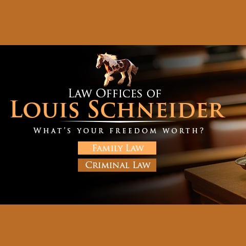 Law Office of Louis Schneider