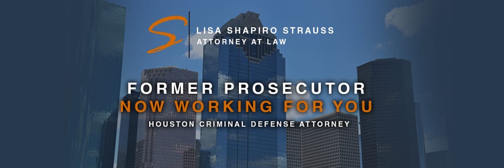 Lisa Shapiro Strauss Attorney At Law
