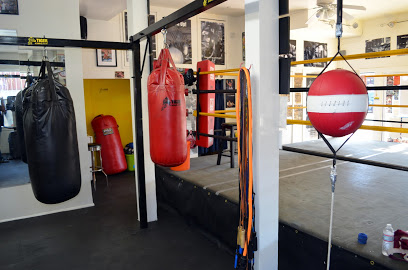 Tiger Boxing Gym